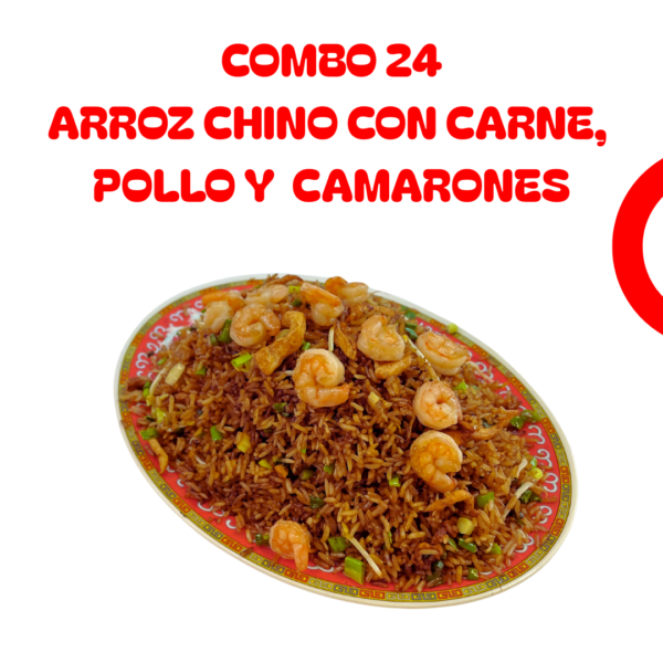 Combo 24 Arroz Chino