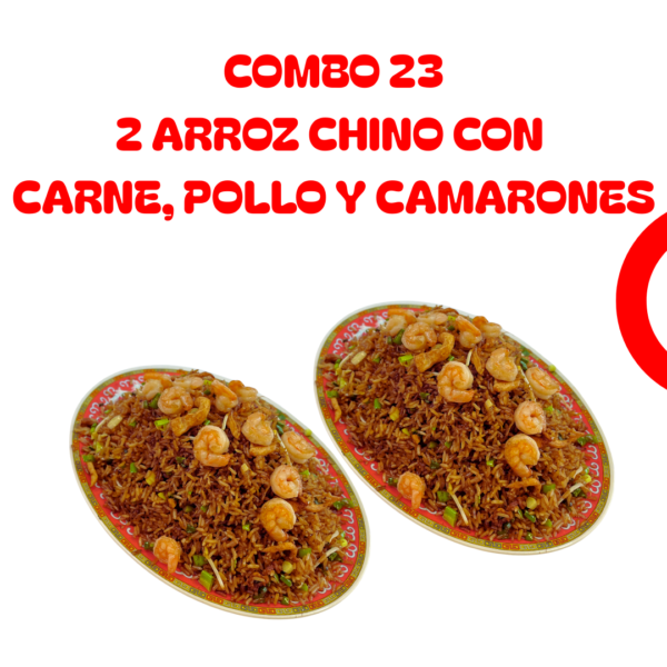 Combo 23 Arroz Chino