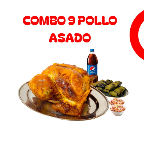 Combo 9 Pollo Asado