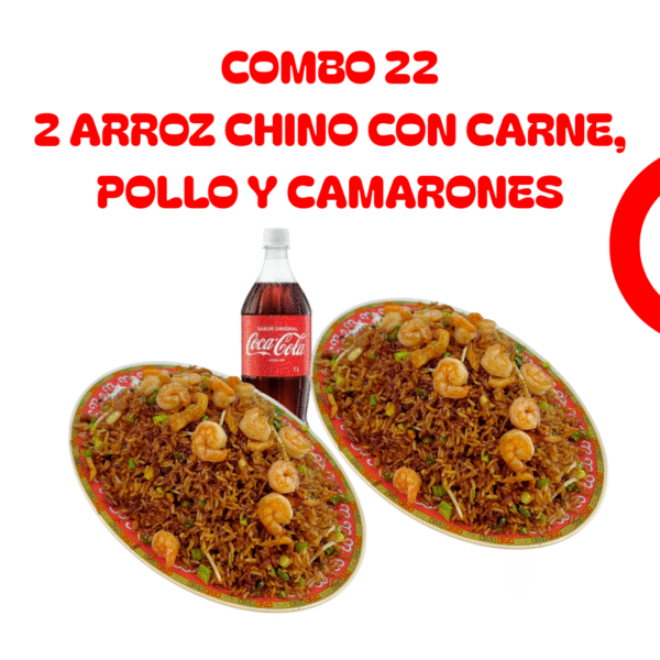 Combo 22 Arroz Chino