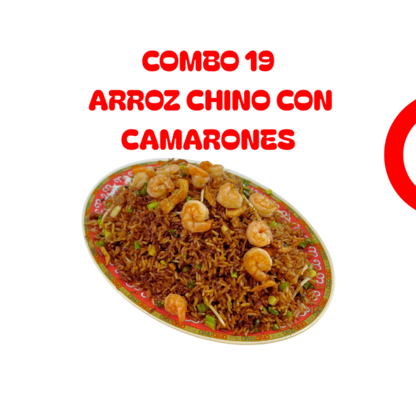 Combo 19 Arroz Chino