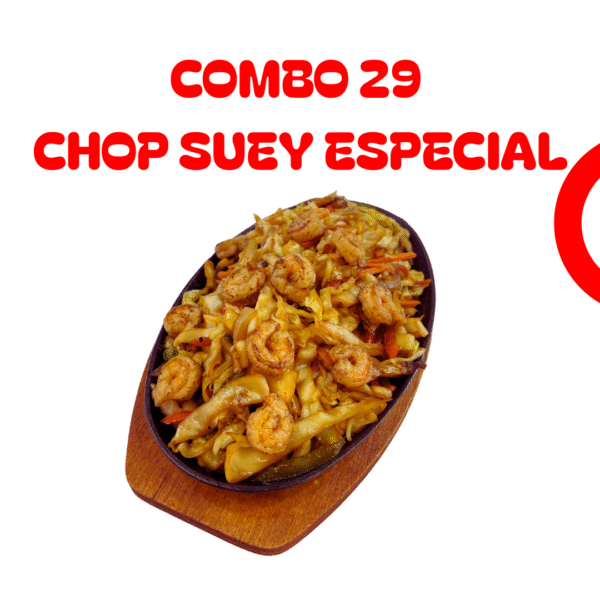 Combo 29 Chop Suey Especial